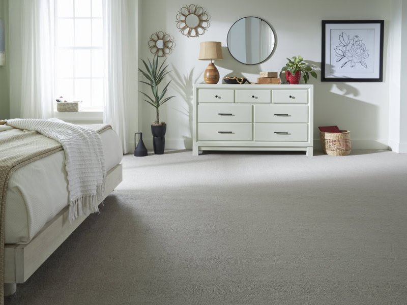Cozy bedroom with carpet flooring